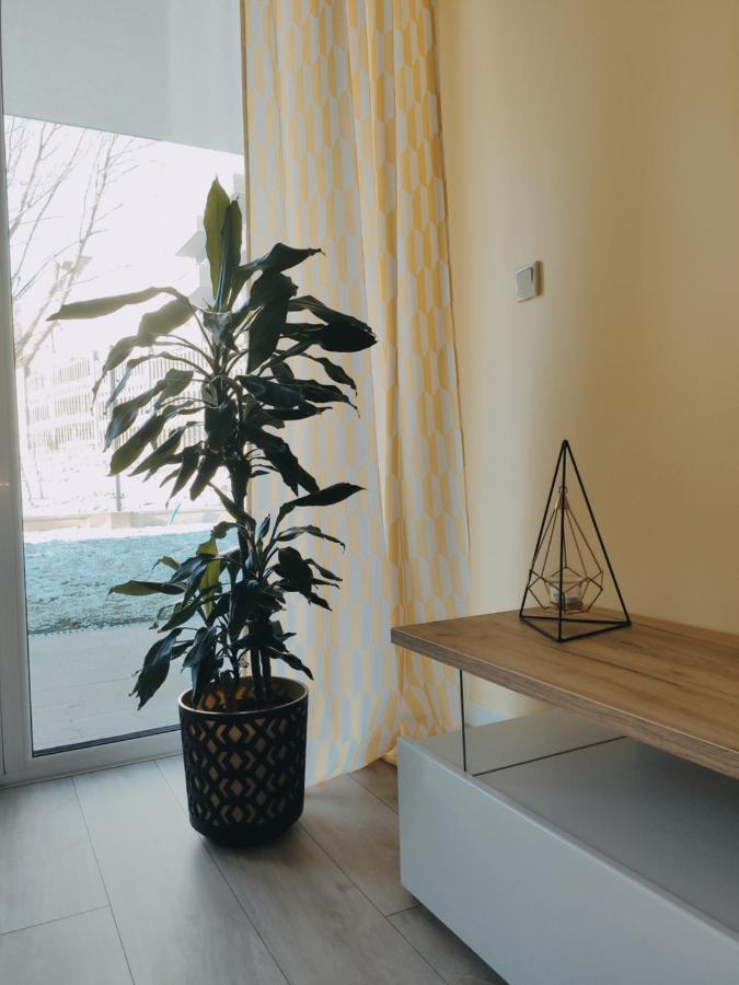 Przytulny Apartament Z Ogrodkiem Краків Екстер'єр фото