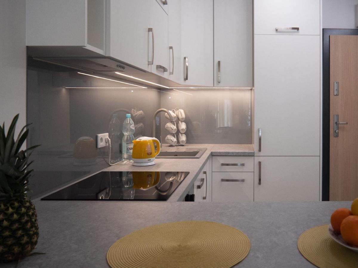 Przytulny Apartament Z Ogrodkiem Краків Екстер'єр фото